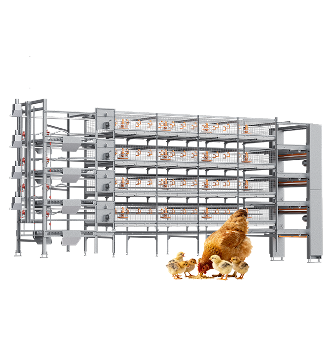 Продукция из бройлеров