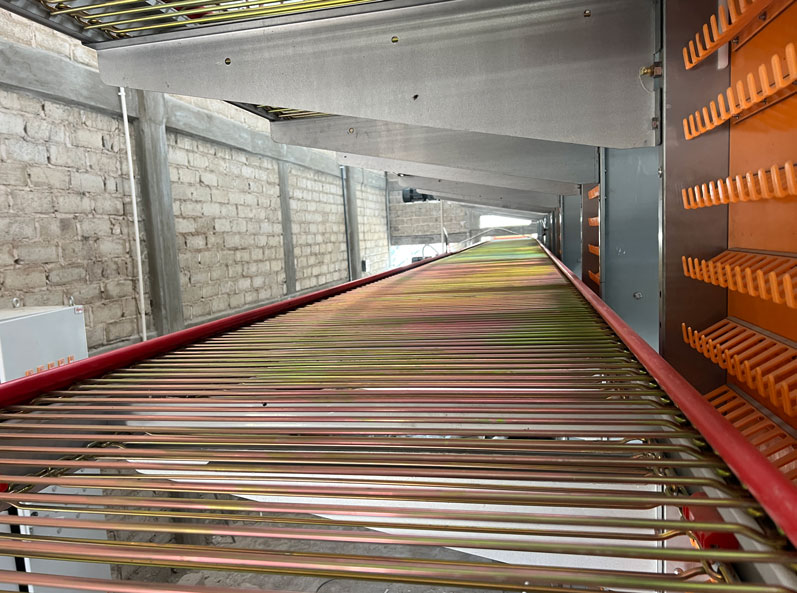 Проект по клеточному птицеводству в Мексике