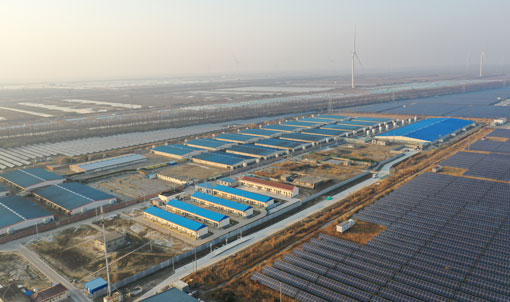 Проект откормочной фермы Jiangsu Dongtai COFCO