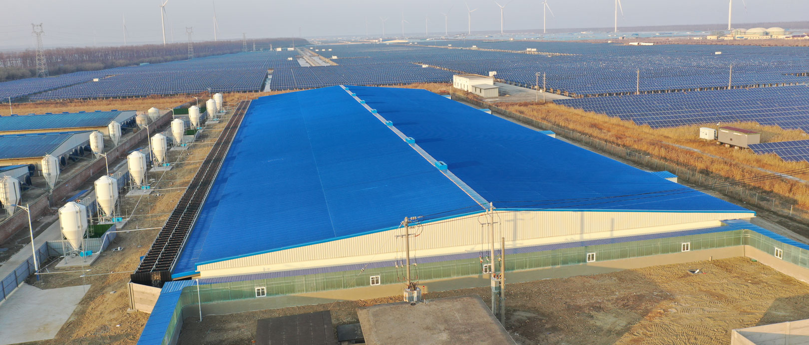 Проект откормочной фермы Jiangsu Dongtai COFCO