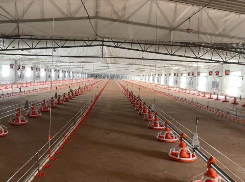 Проект подъема двухъярусного пола WENS Broiler